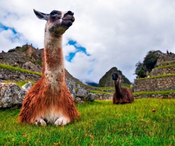 Machu-Picchu9